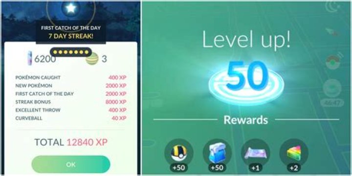 Unlock The Secrets Of "All Level 41 To 50 Level Up"