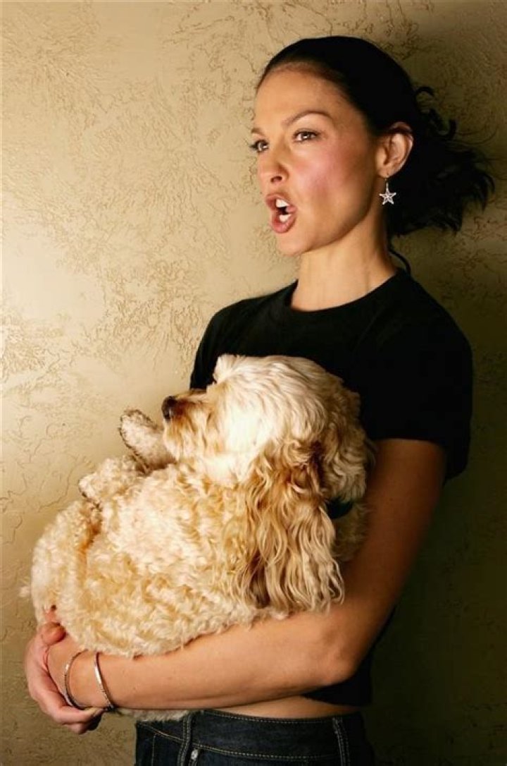 Unveiling The Untold Story Of Ashley Judd's Son: Discoveries And Insights