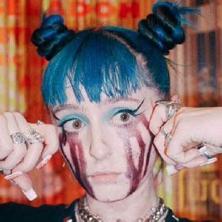 A Journey Of Net Worth, Fame, And Artistic Evolution