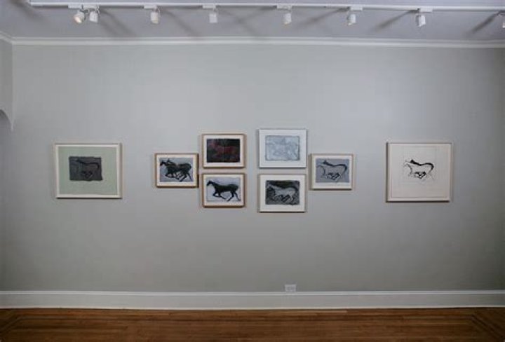 Equestrian Craig Starr's Accident And Its Aftermath