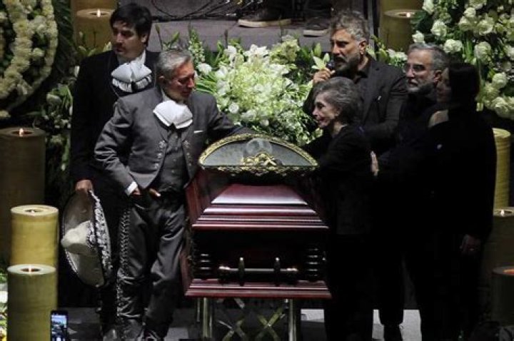 Exploring "How Many Children Does Vicente"