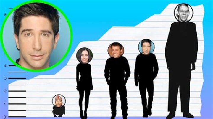 Unveiling The Height Of David Schwimmer: Unlocking Surprising Insights