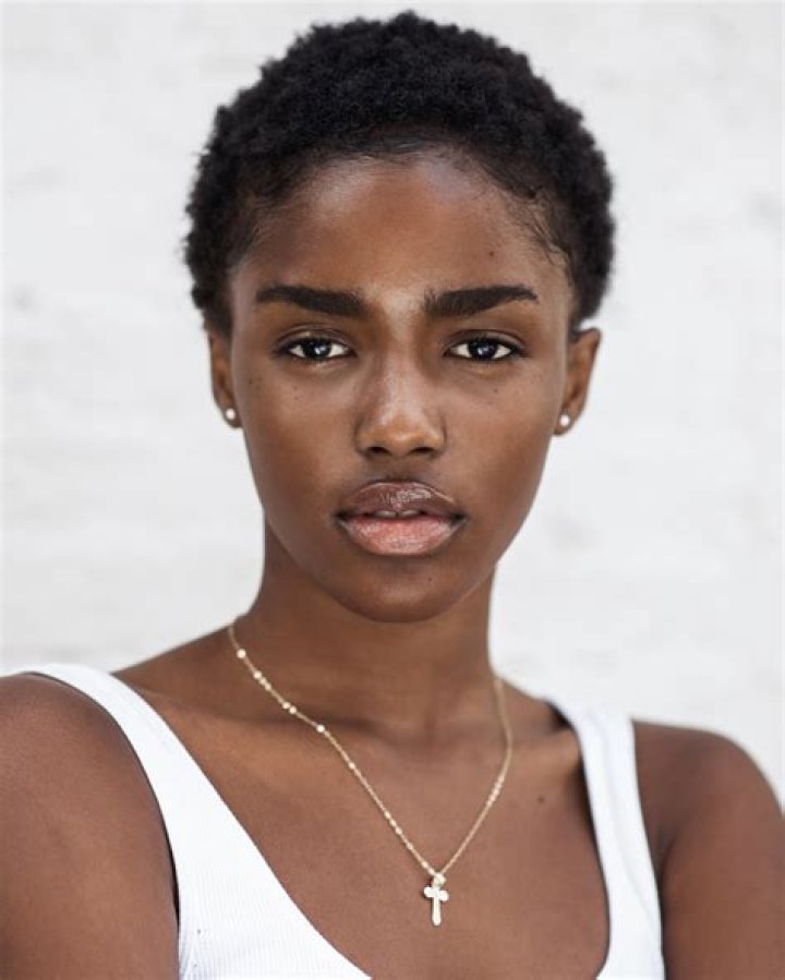 Unveiling The Dimensions Of Eva Apio's Stature