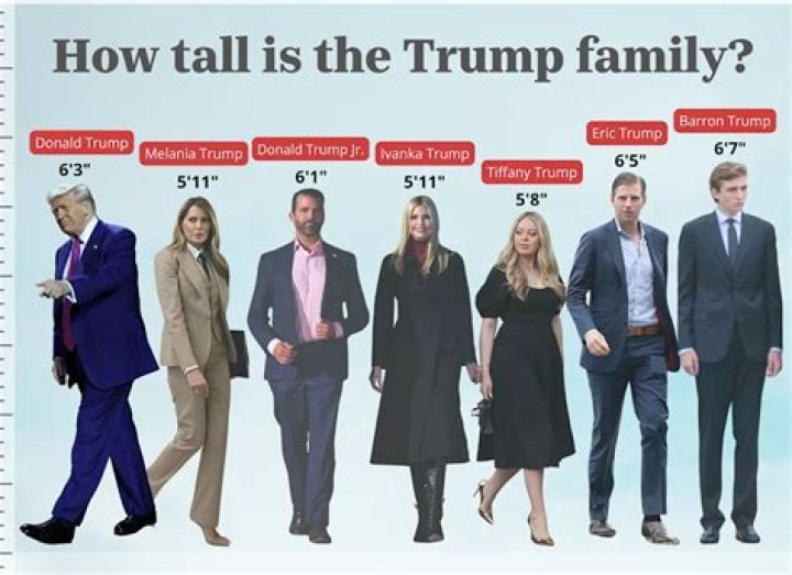 Donald Sutherland Height: How Tall Was He In Feet?