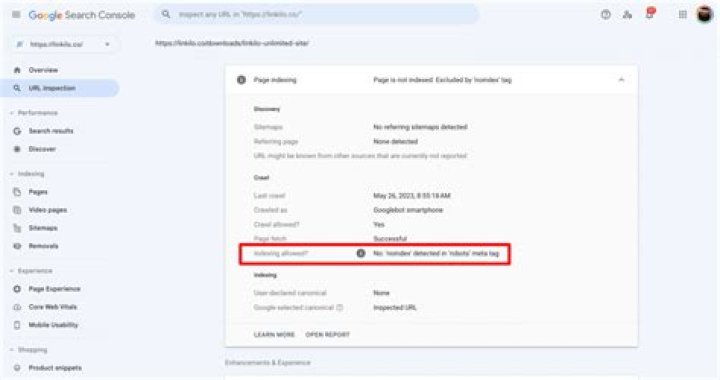 Discover The Art Of Adding Noindex To Metadata