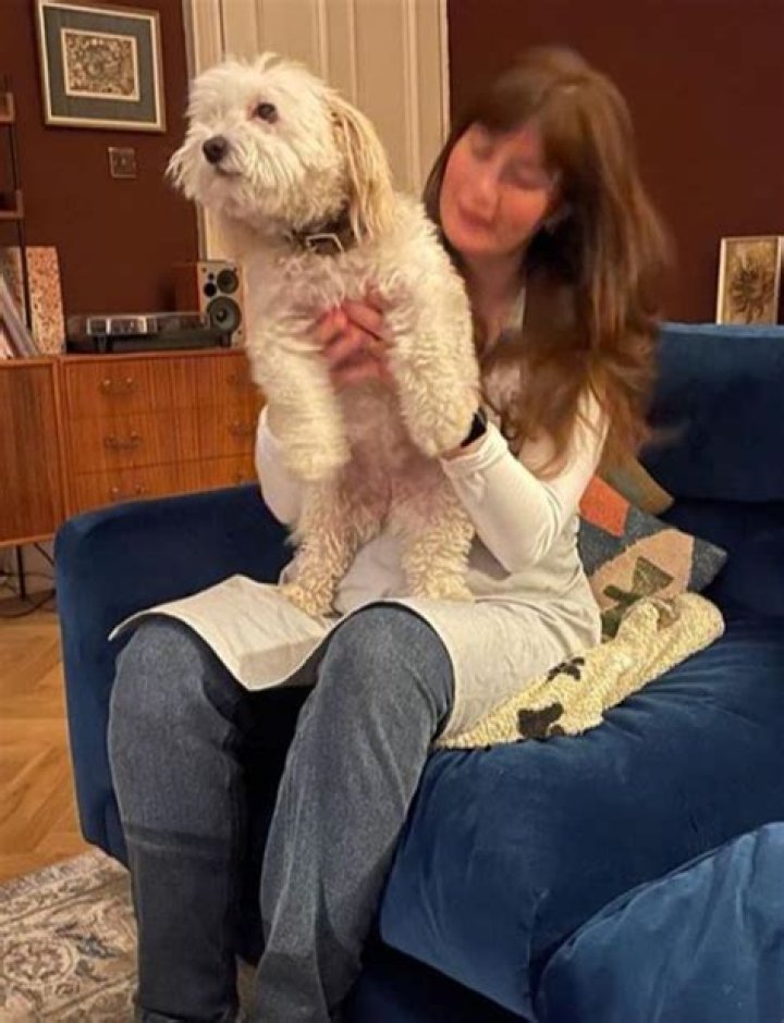 Debunking Pregnancy Rumors: A Guide To Truth