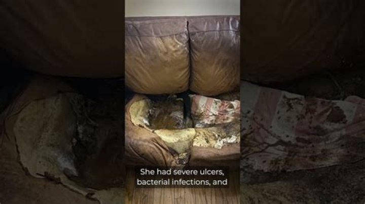 Disturbing Crime Scene Photos: Lacey Fletcher's Tragic Demise