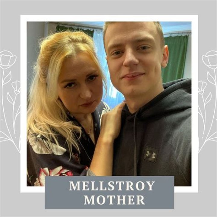 Comprehensive Guide To Mellstroy Networks
