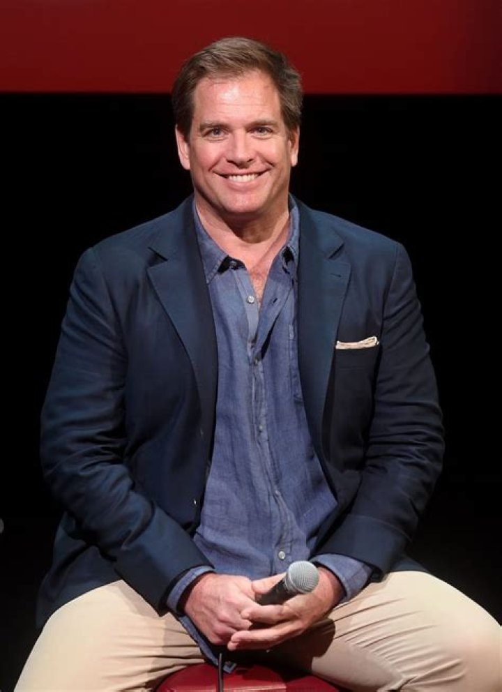 Unveiling The Secrets: Michael Weatherly's Net Worth