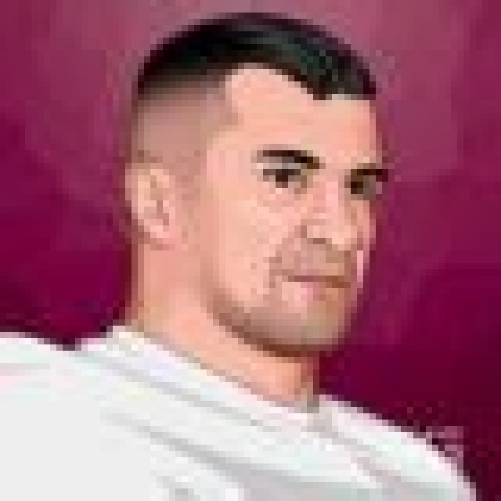 Unveiling The Riches Of Mirko Cro Cop's Empire