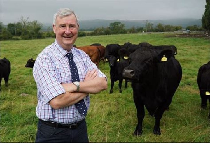 Peter Wright's Extraordinary Veterinary Fortune