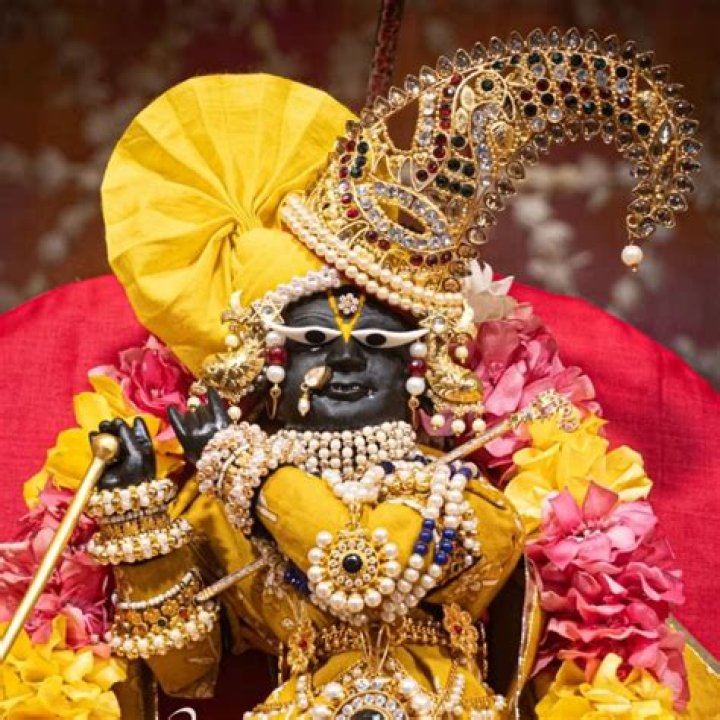 Discoveries From "Radha Raman Inside The Life Of Annie"