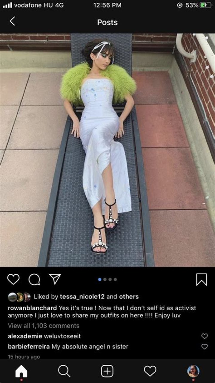 Understanding Rowan Blanchard's Impactful Biphobic Apology Tweets