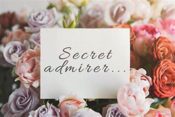 Intriguing Secret Admirer Quotes To Melt Hearts