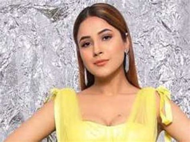 Uncover The Untold Story Behind Shehnaaz Gill's Height