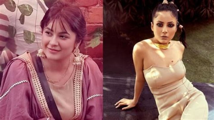 Unveiling The Secrets Of Shehnaaz Gill's Weight And Height Journey