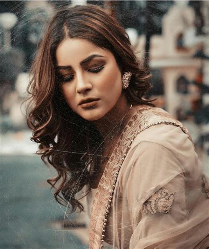 Unveiling The Allure Of Shehnaz Gill's Height: Discoveries And Insights