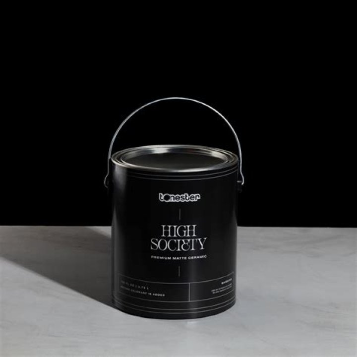 Discover The Fascinating World Of Tonester Paints: Age, Height, Nationality Unveiled