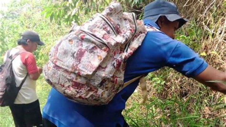 Buck Trent Death: What Killed Buck Trent?