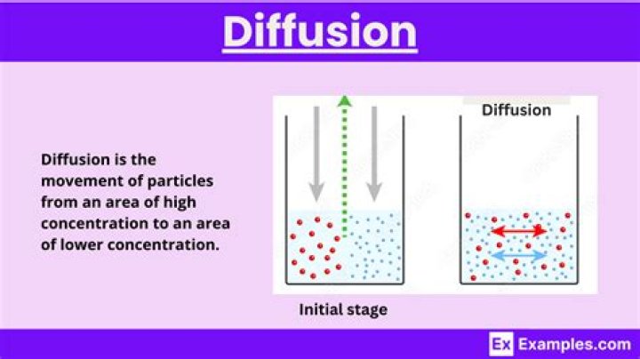 Discover The Hidden Truths Behind "What Does Diffusion Line Mean"