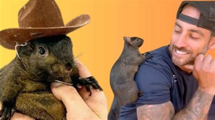 What Happened To Dmytro Shurov After Smashing Guitar? Is The X-Factor Judge Fired After The Issue?