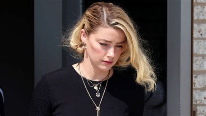 Unveiling Amber Heard's Current Endeavors: Discoveries And Insights
