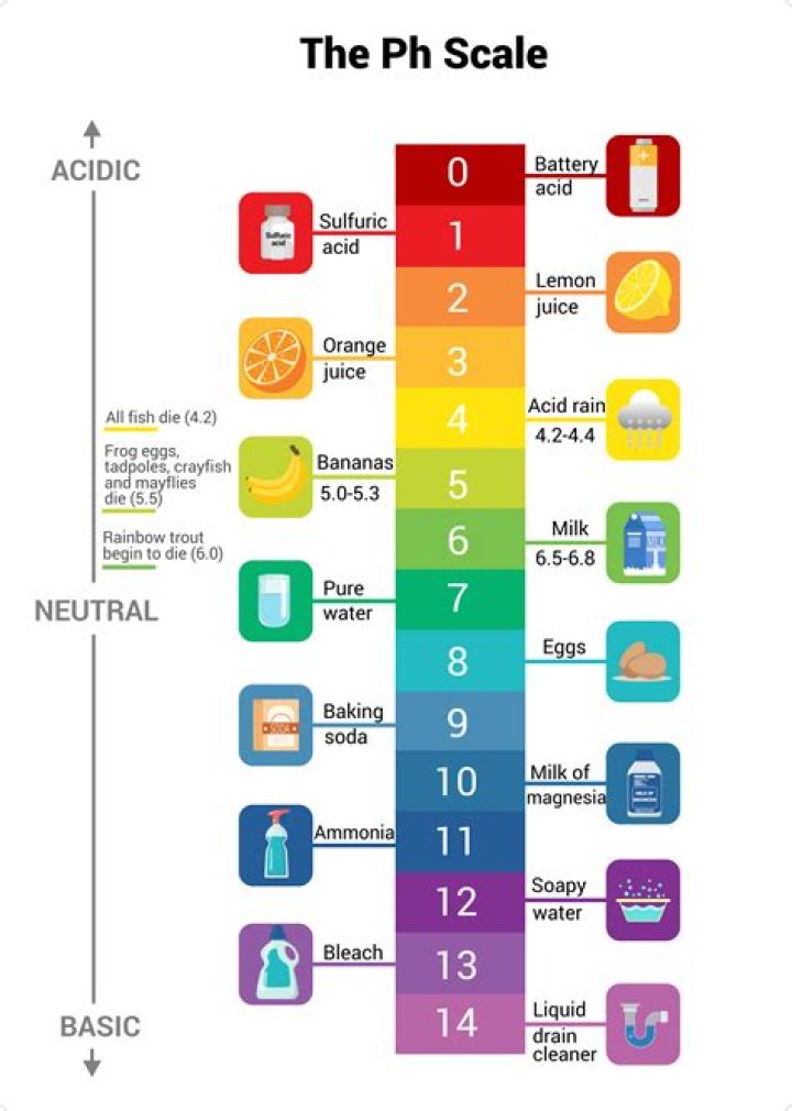 Unveiling The Secrets Of PH Levels: Discoveries And Insights Await