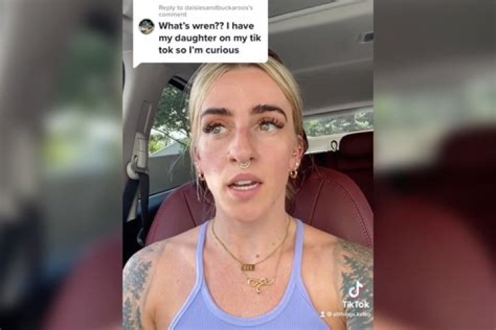 Unraveling The Complexities Of The Wren Eleanor TikTok Drama: Uncovering Truths And